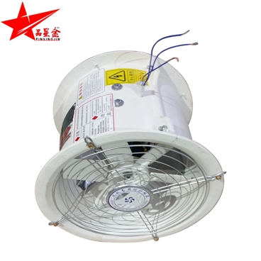 FT35玻璃鋼軸流蜜桃精品久久久久久久免费影院