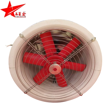 FT35玻璃鋼軸流蜜桃精品久久久久久久免费影院